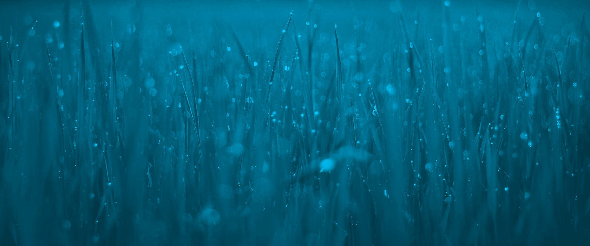 parallax background